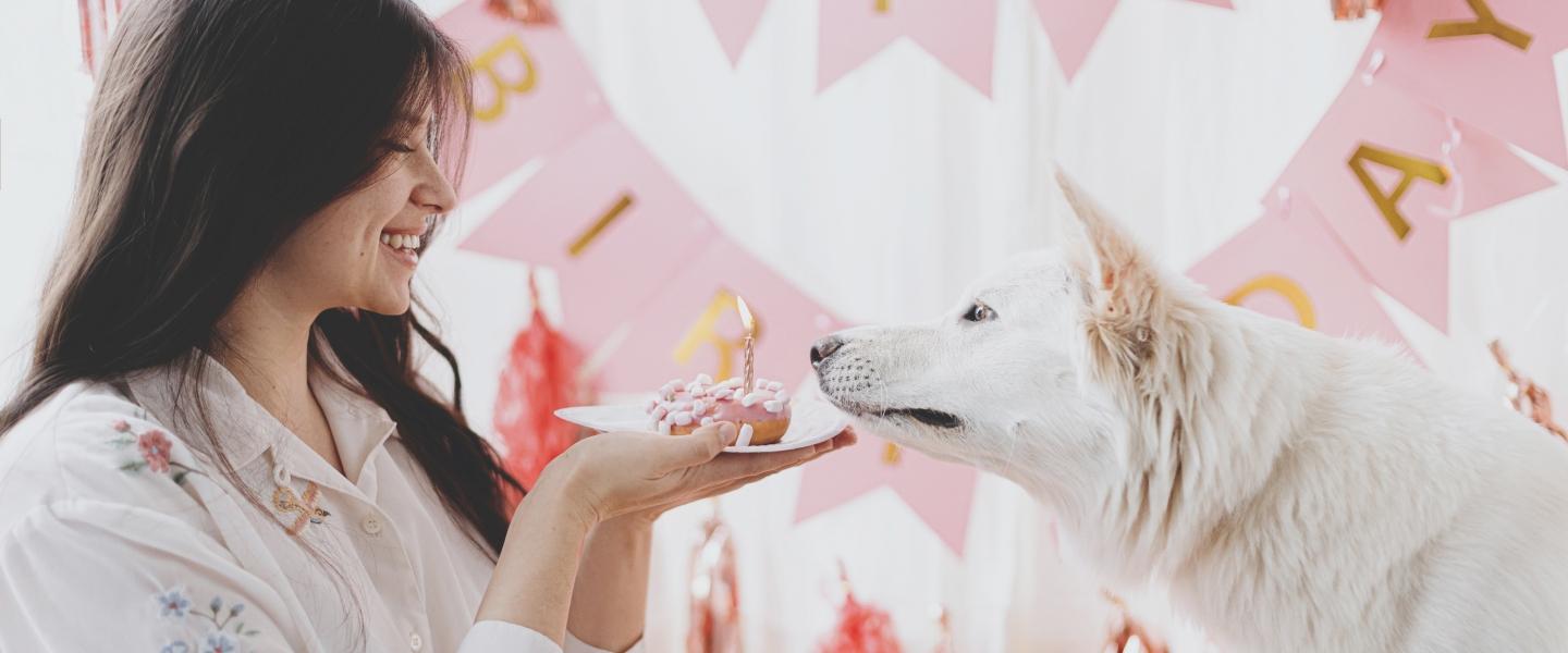 Article Cards Featured Image Woman Holding Cupcake Dog