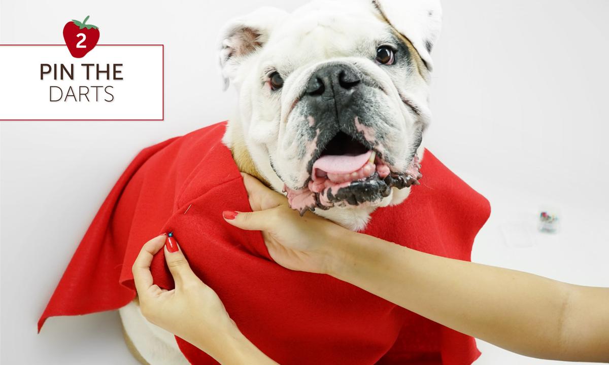 DIY Strawberry Costumes for the Whole Family